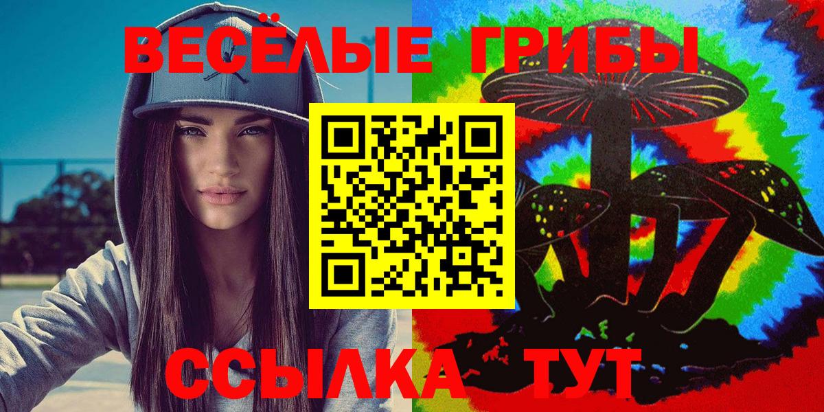 Карачаевск  Псилоцибиновые грибы Psilocybe  Вход с VPN 