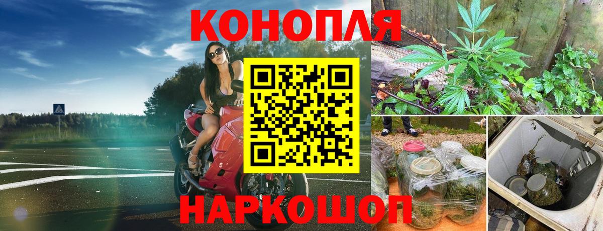 Карачаевск  Конопля тримм  Вход с VPN  Бошки Шишки THC 21% 